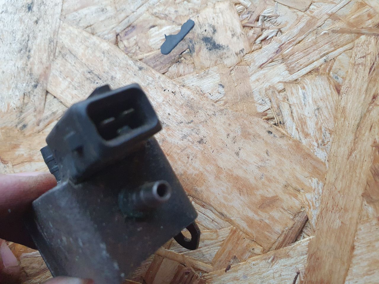 thumb
