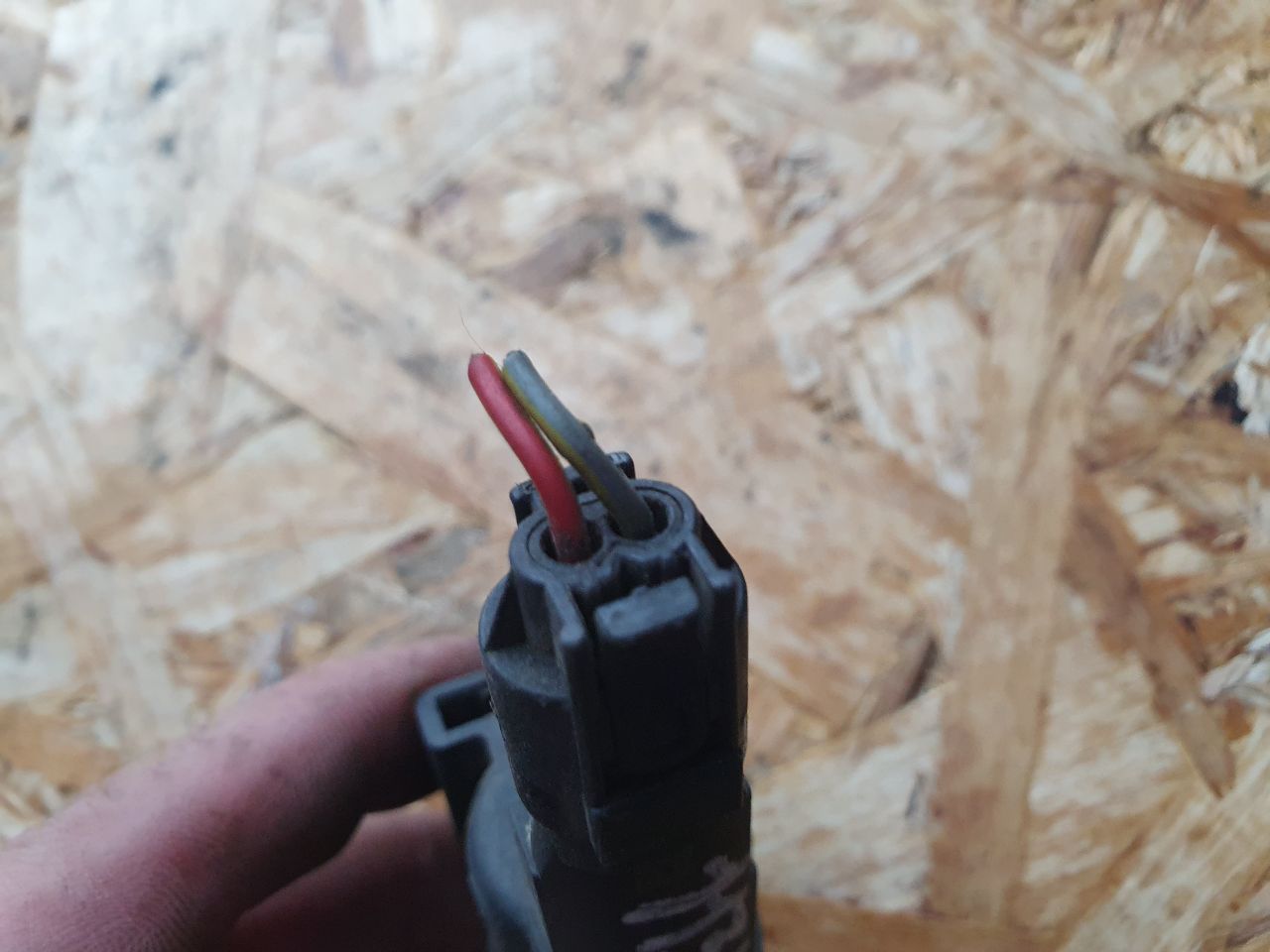 thumb