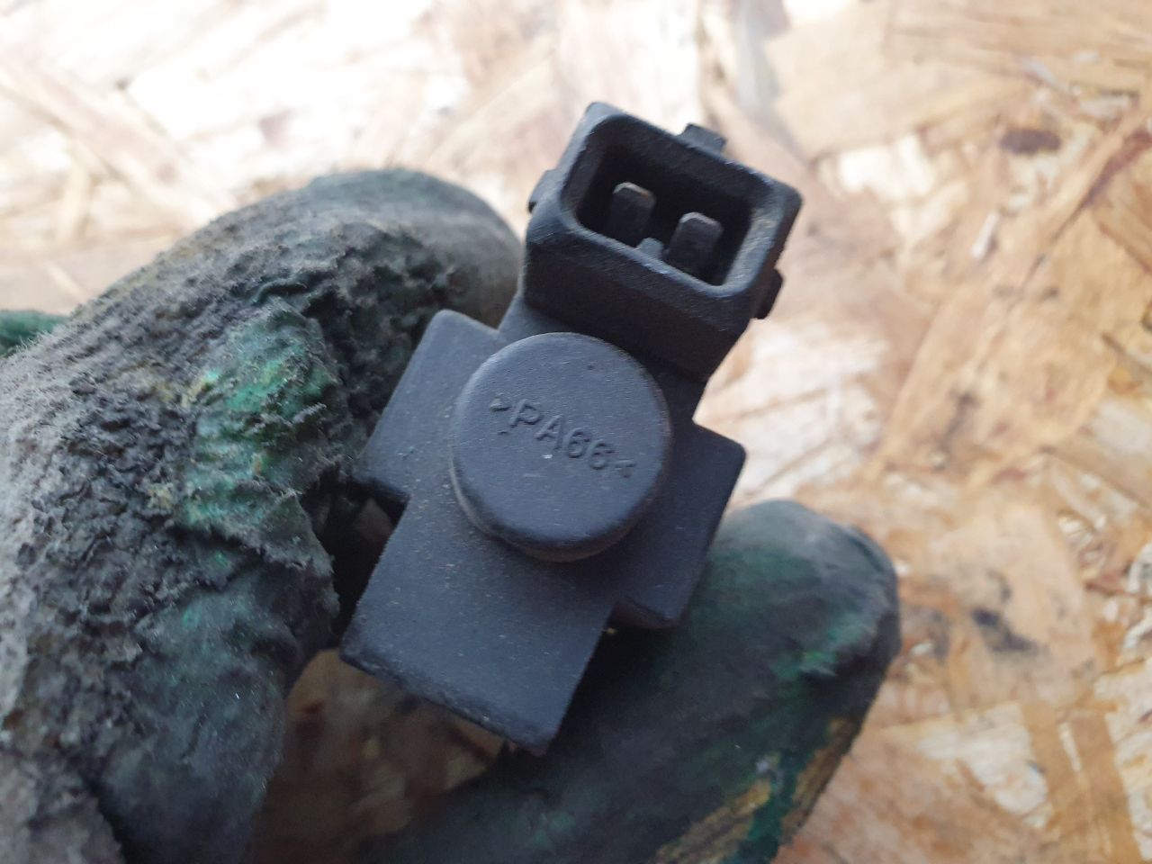thumb