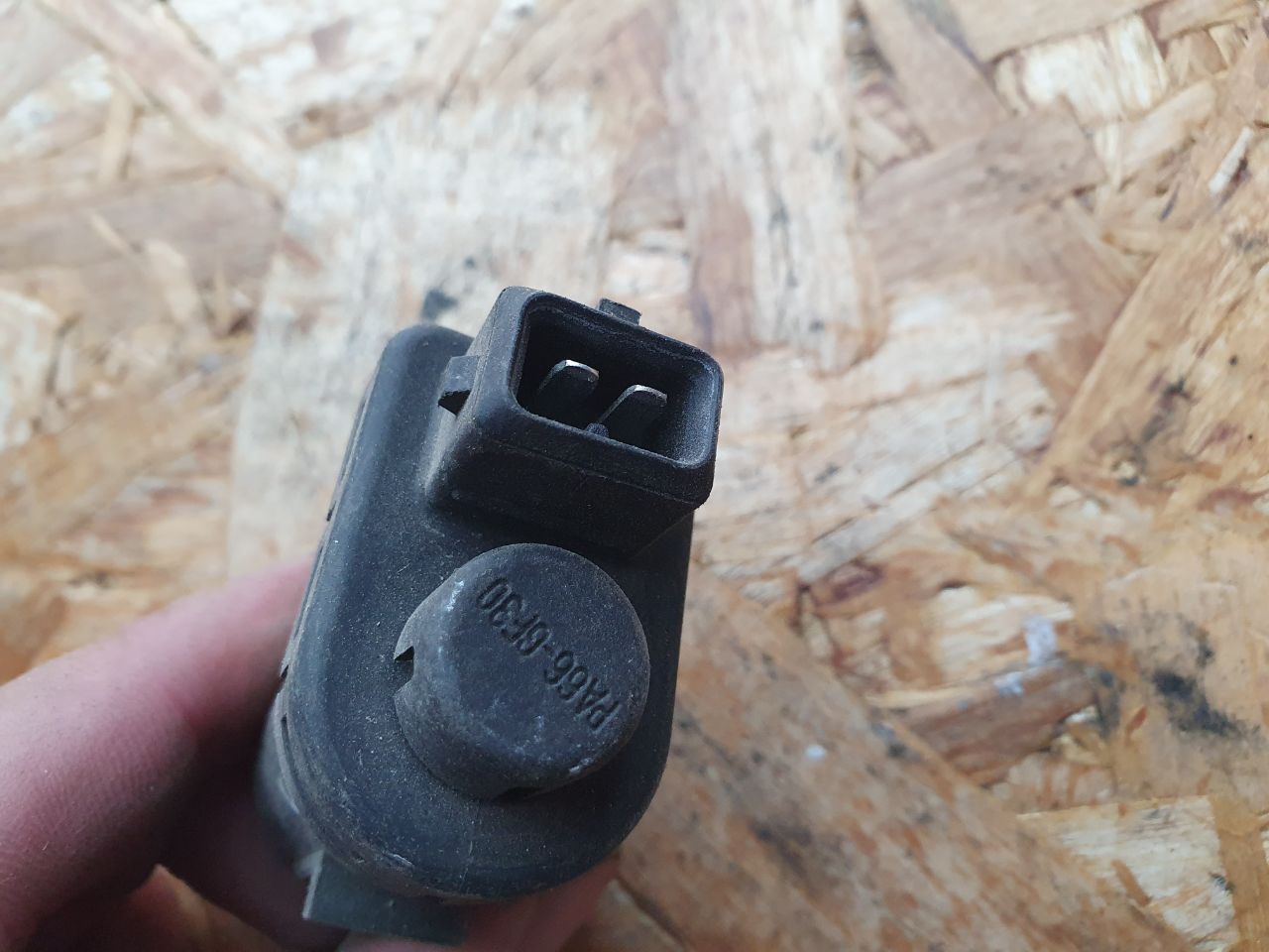 thumb