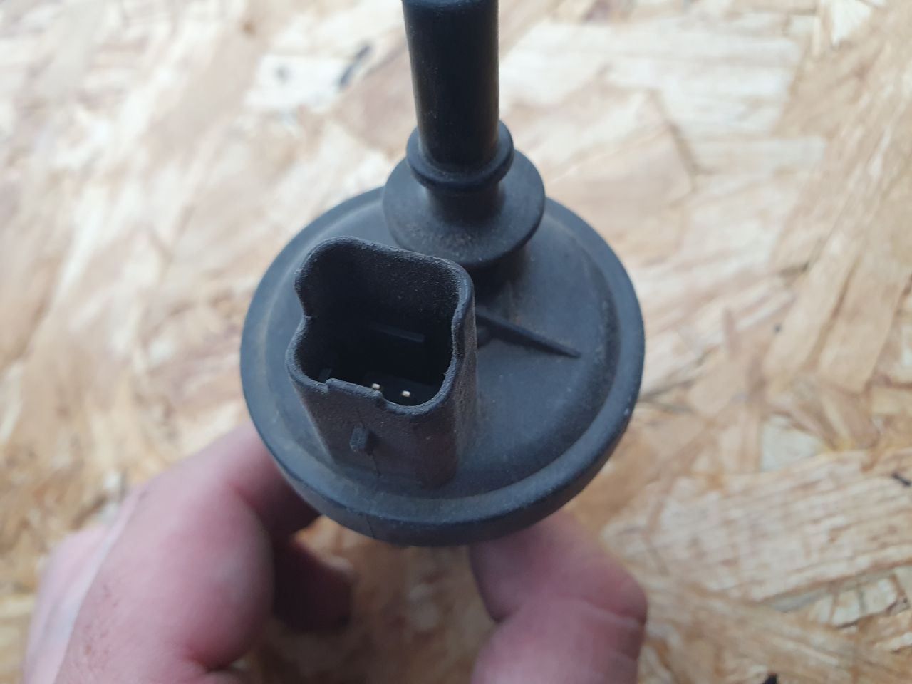 thumb
