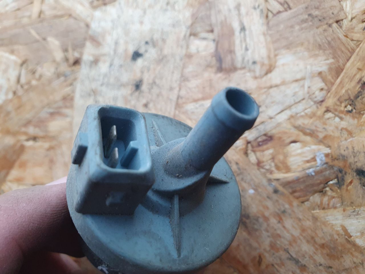 thumb