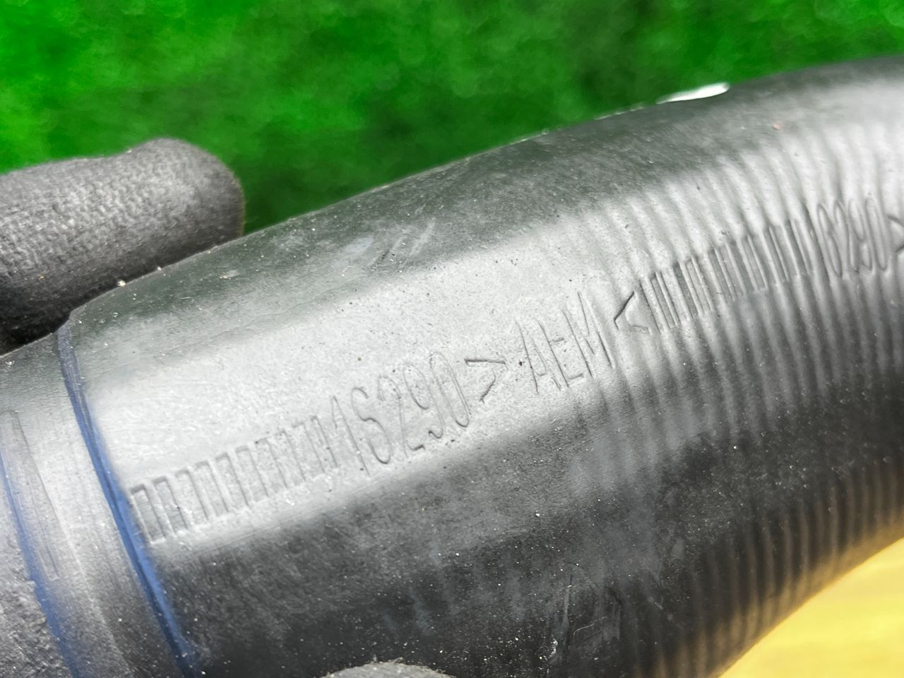 thumb