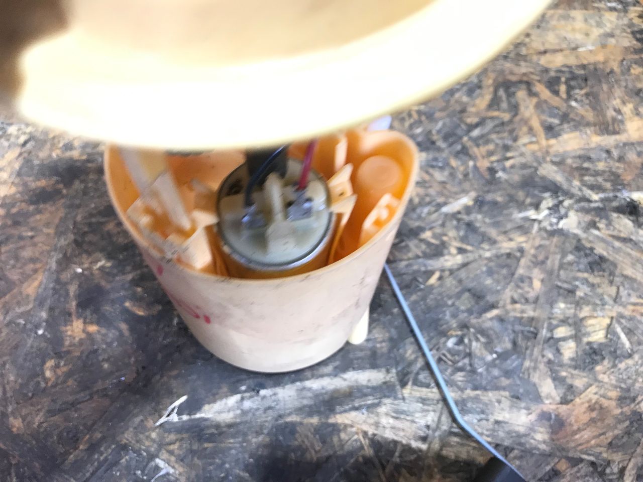 thumb