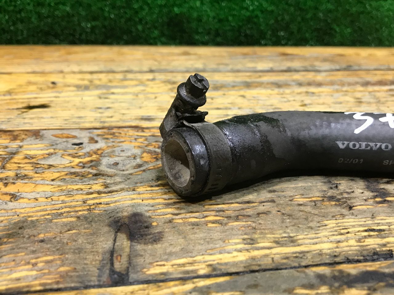 thumb