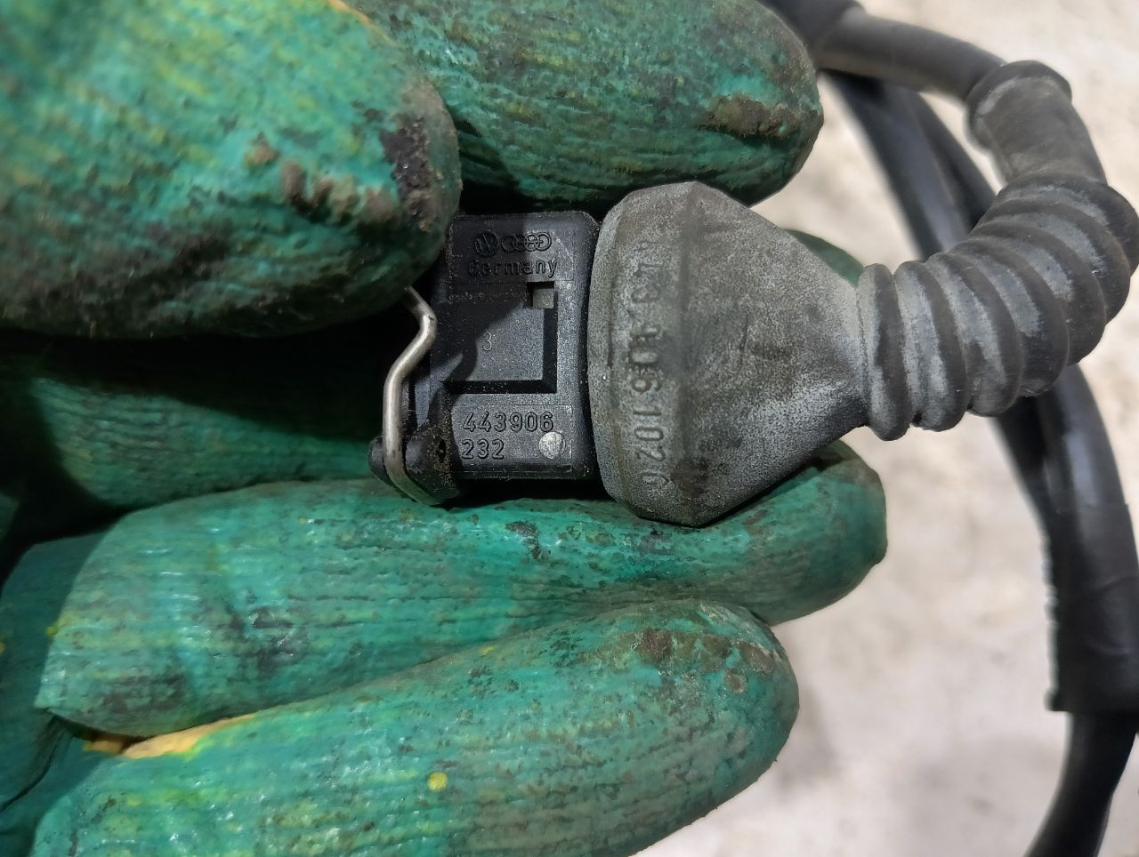 thumb