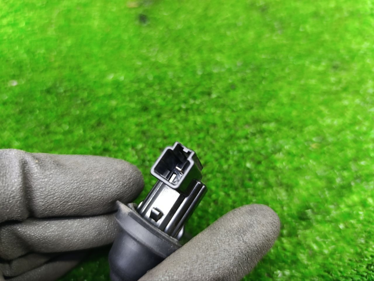 thumb