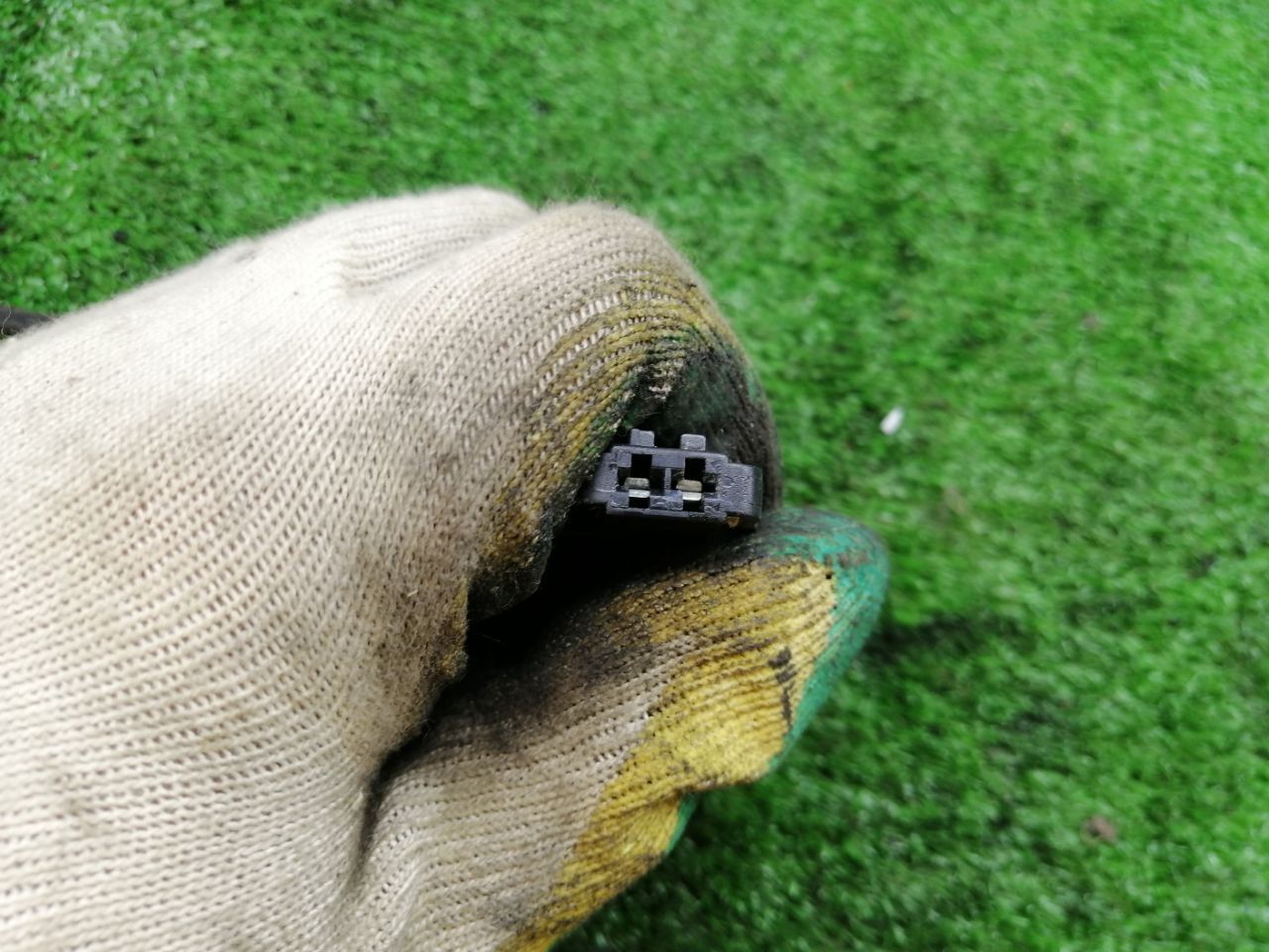 thumb
