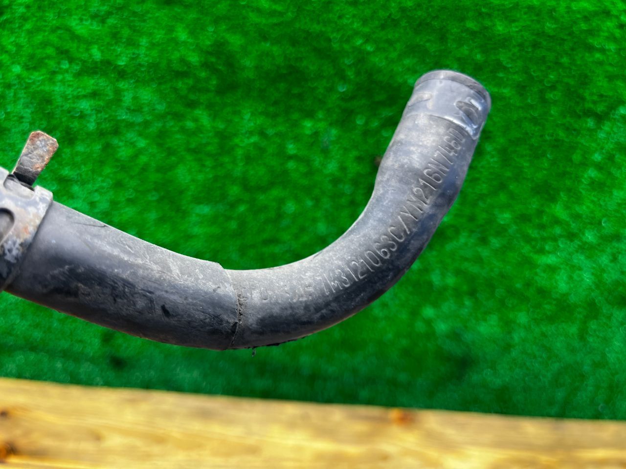 thumb