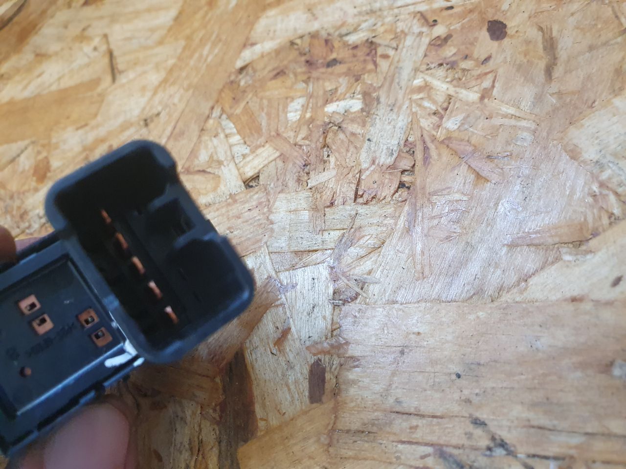 thumb