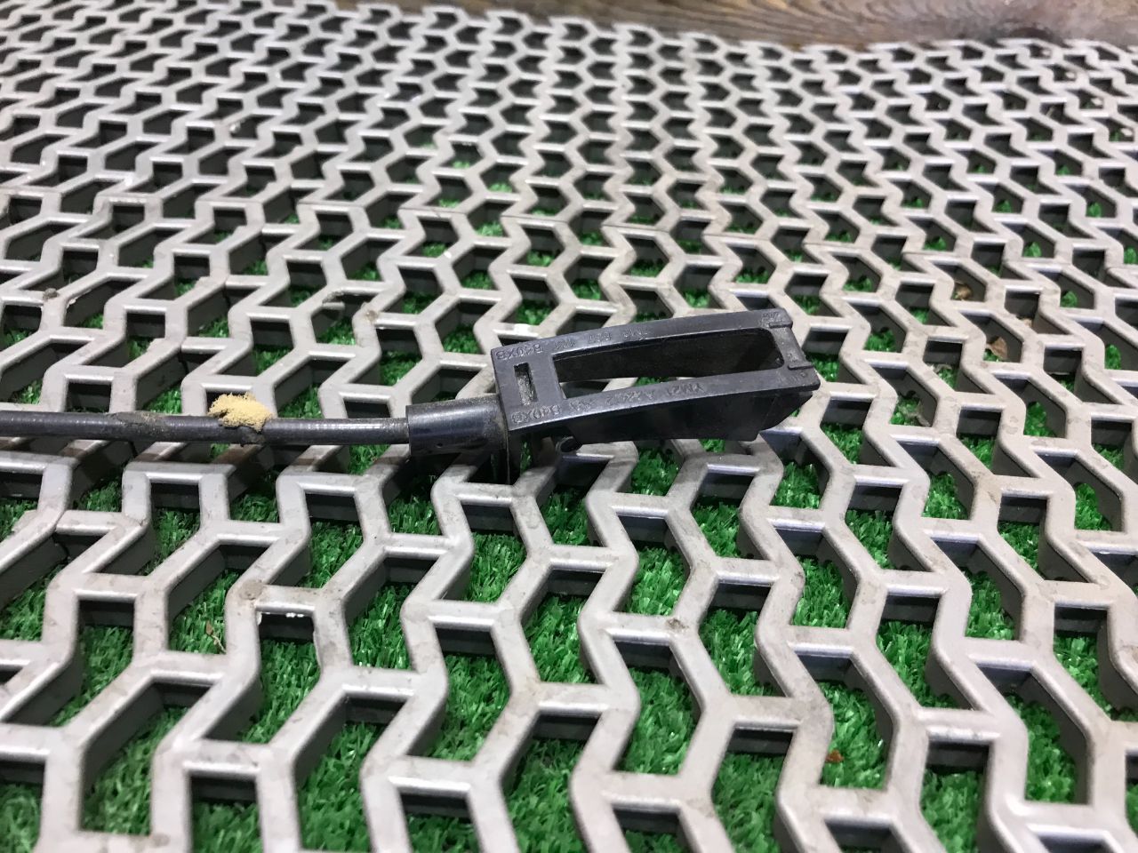 thumb