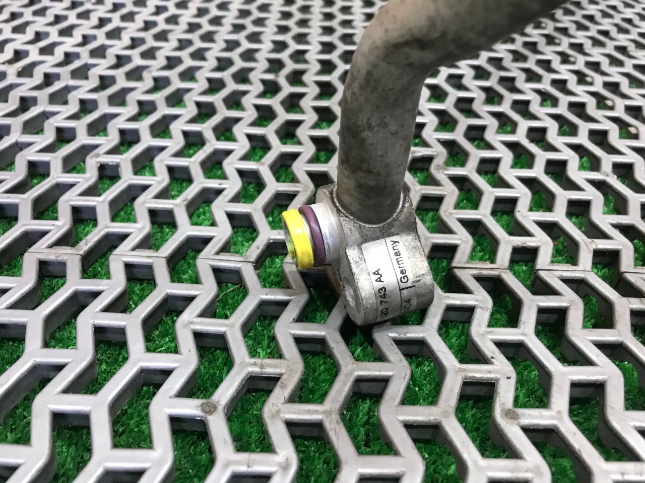 thumb