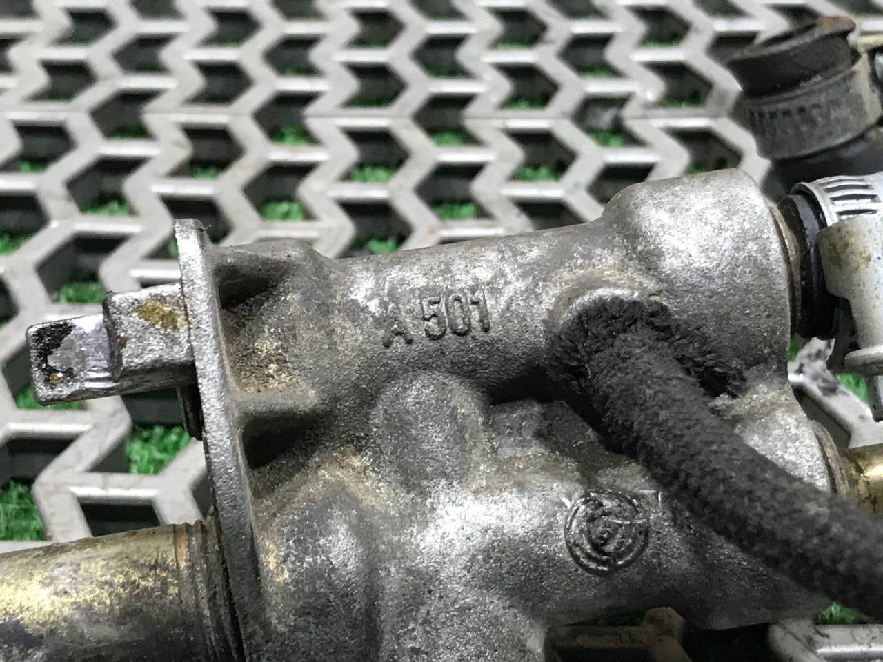 thumb