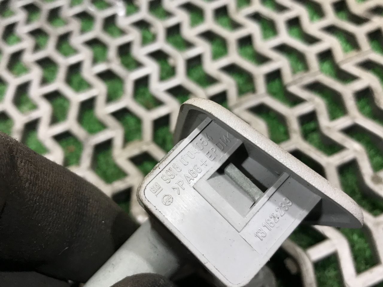 thumb