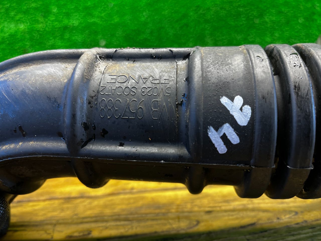 thumb