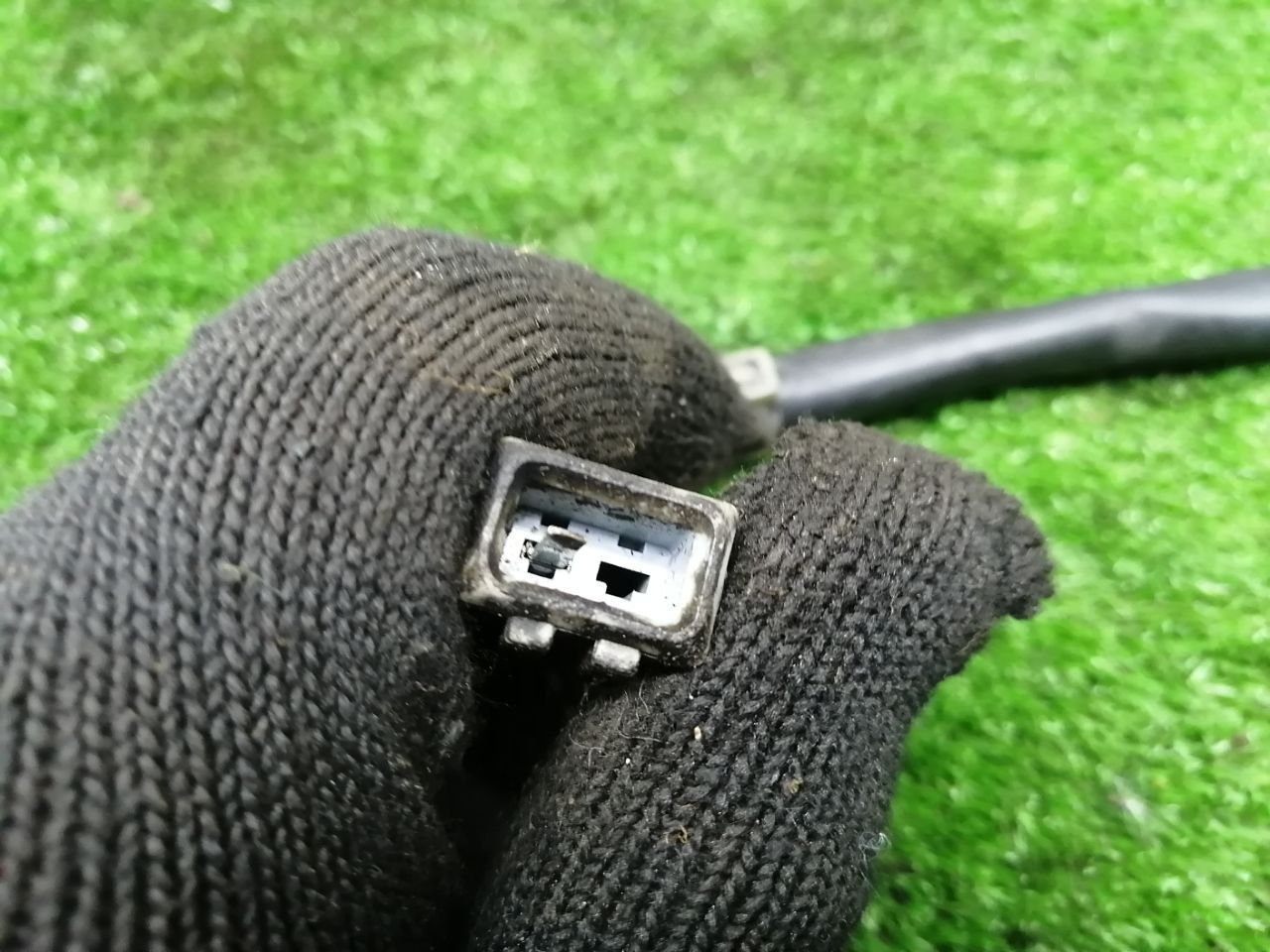 thumb