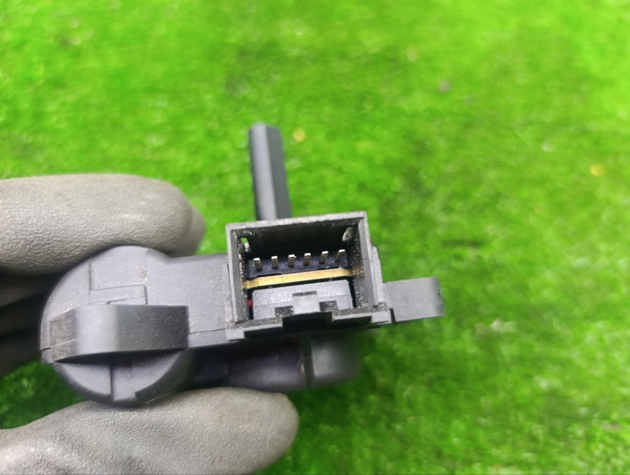thumb