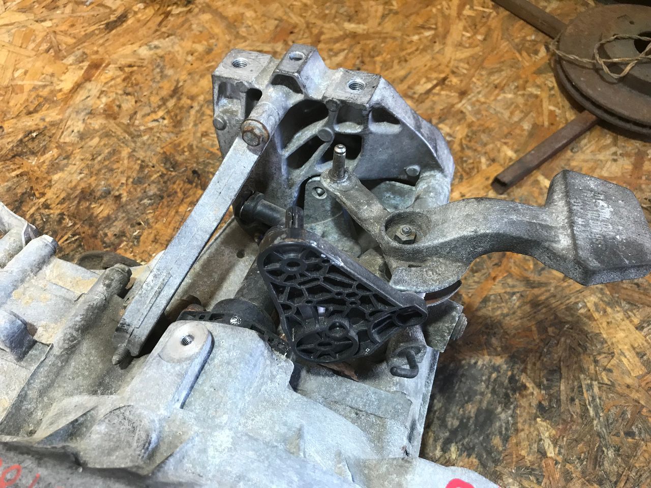 thumb