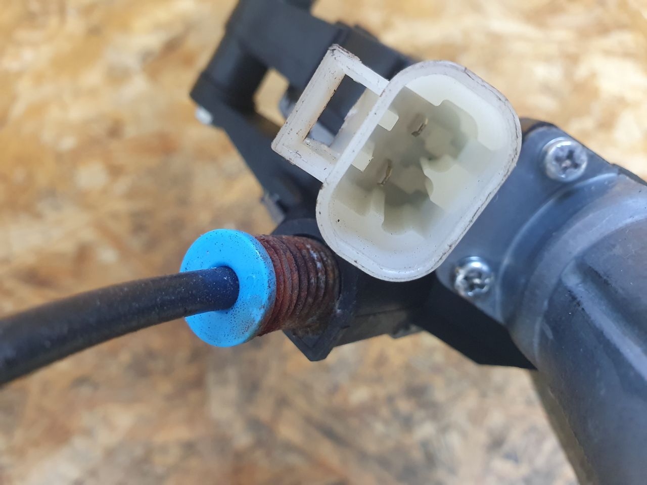 thumb