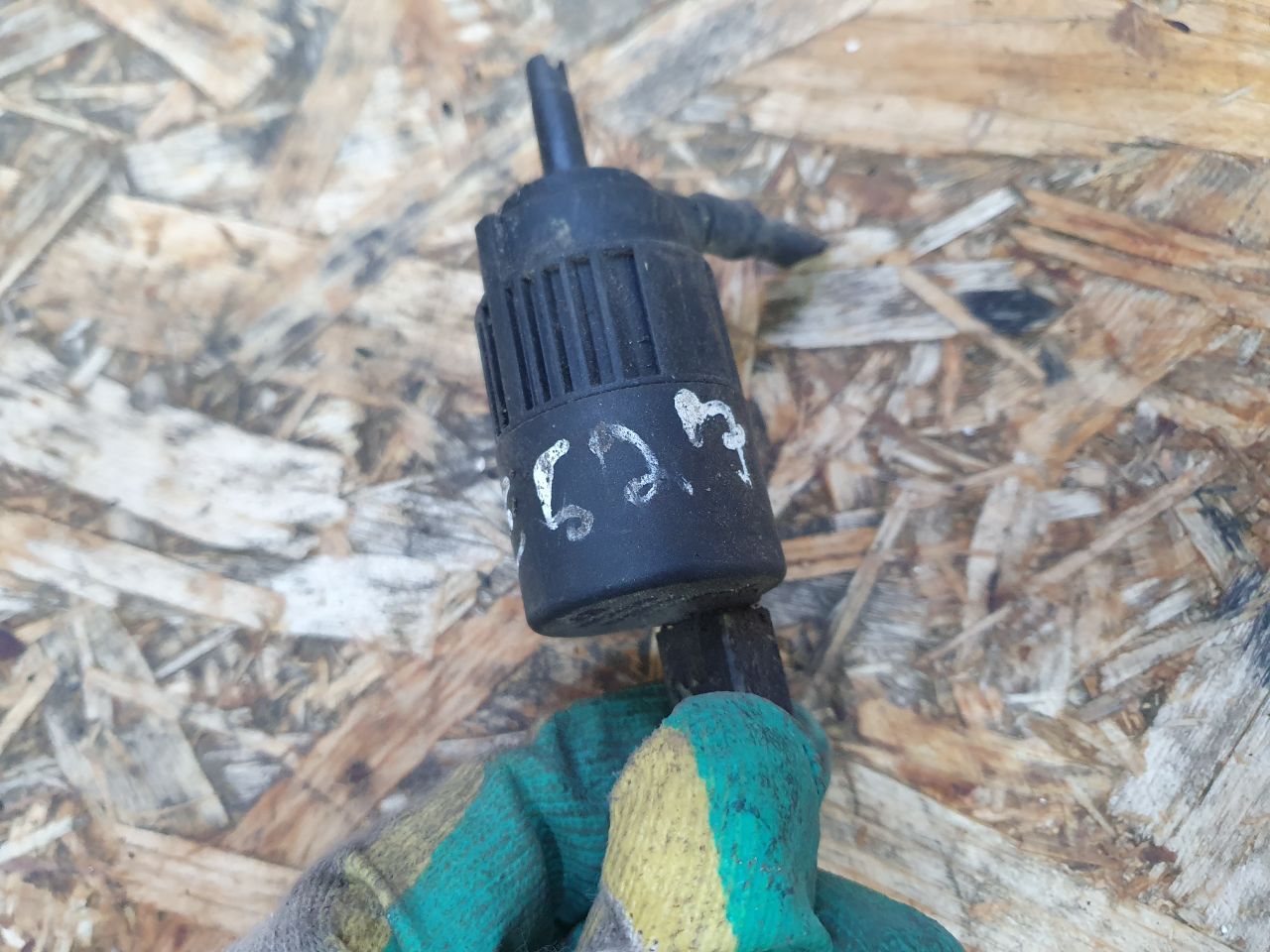 thumb