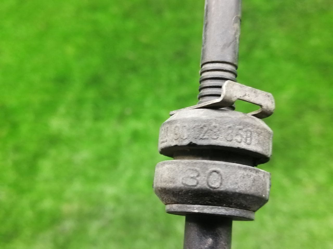 thumb